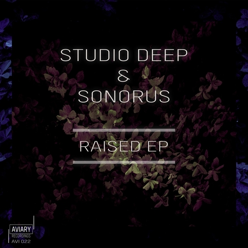 Studio Deep - Raised [AVI022]
